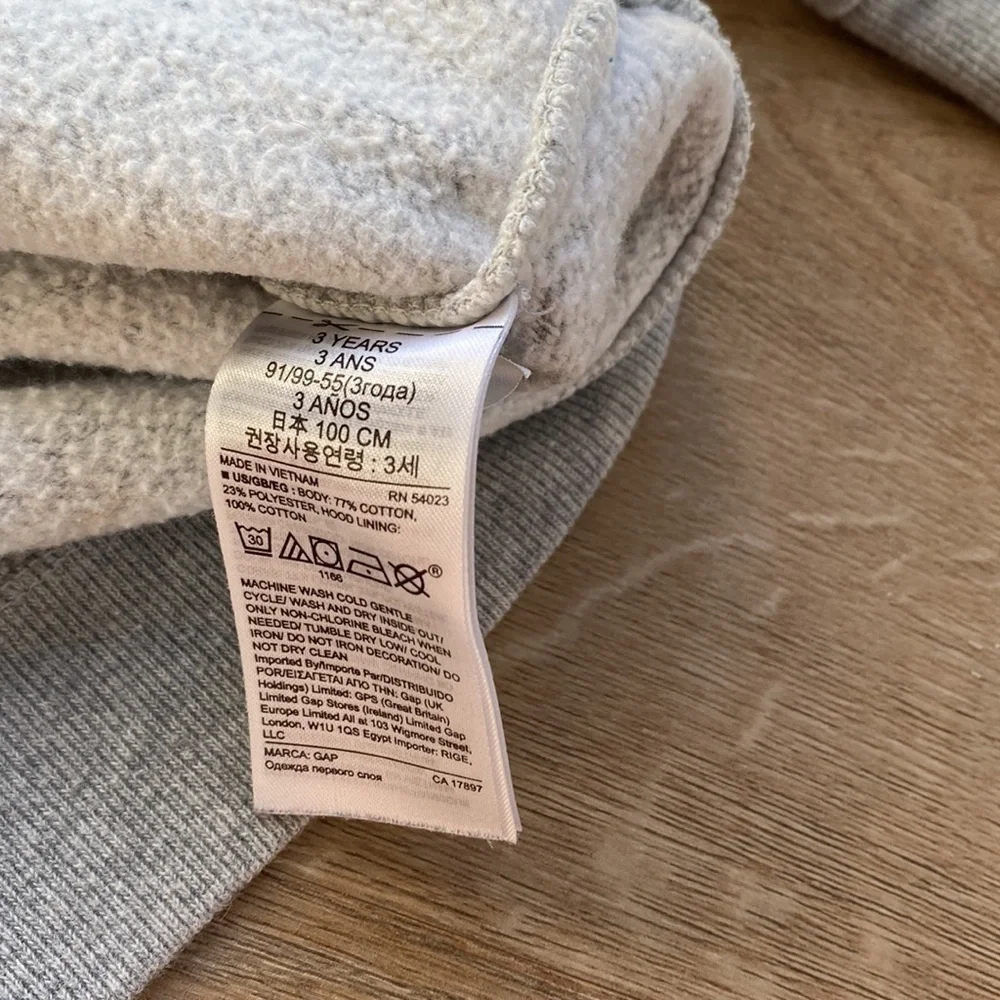 GAP 3T Graphic Ombre Hoodie Sweatshirt Easy Tiger